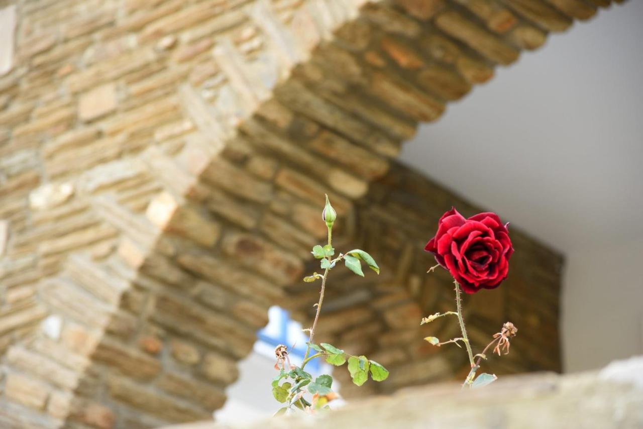 Andros Guesthouses Zewnętrze zdjęcie